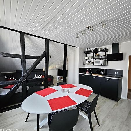 Apartments Am Saalebogen Mit Gartenterrasse, Grillkamin, Freie Parkplaetze 루돌슈타트 외부 사진