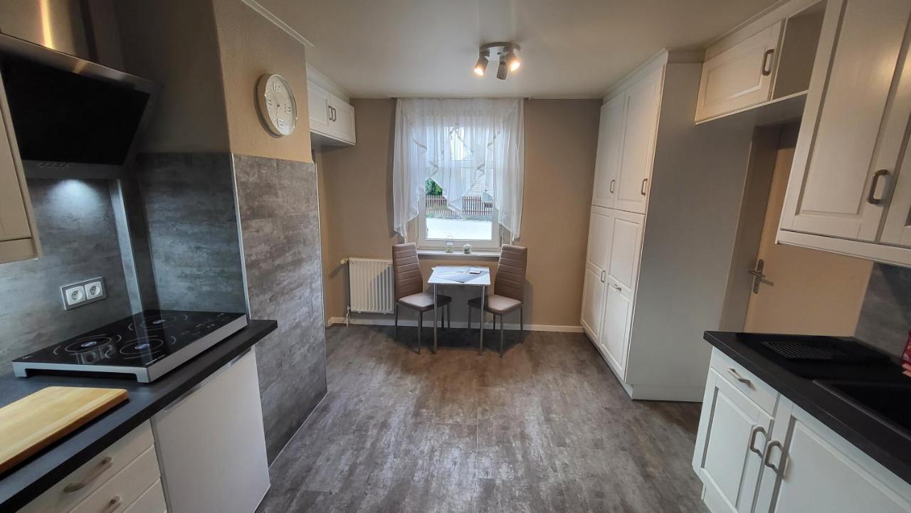 Apartments Am Saalebogen Mit Gartenterrasse, Grillkamin, Freie Parkplaetze 루돌슈타트 외부 사진