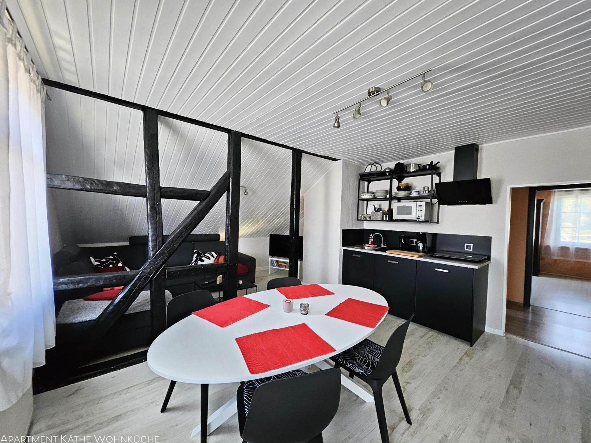 Apartments Am Saalebogen Mit Gartenterrasse, Grillkamin, Freie Parkplaetze 루돌슈타트 외부 사진