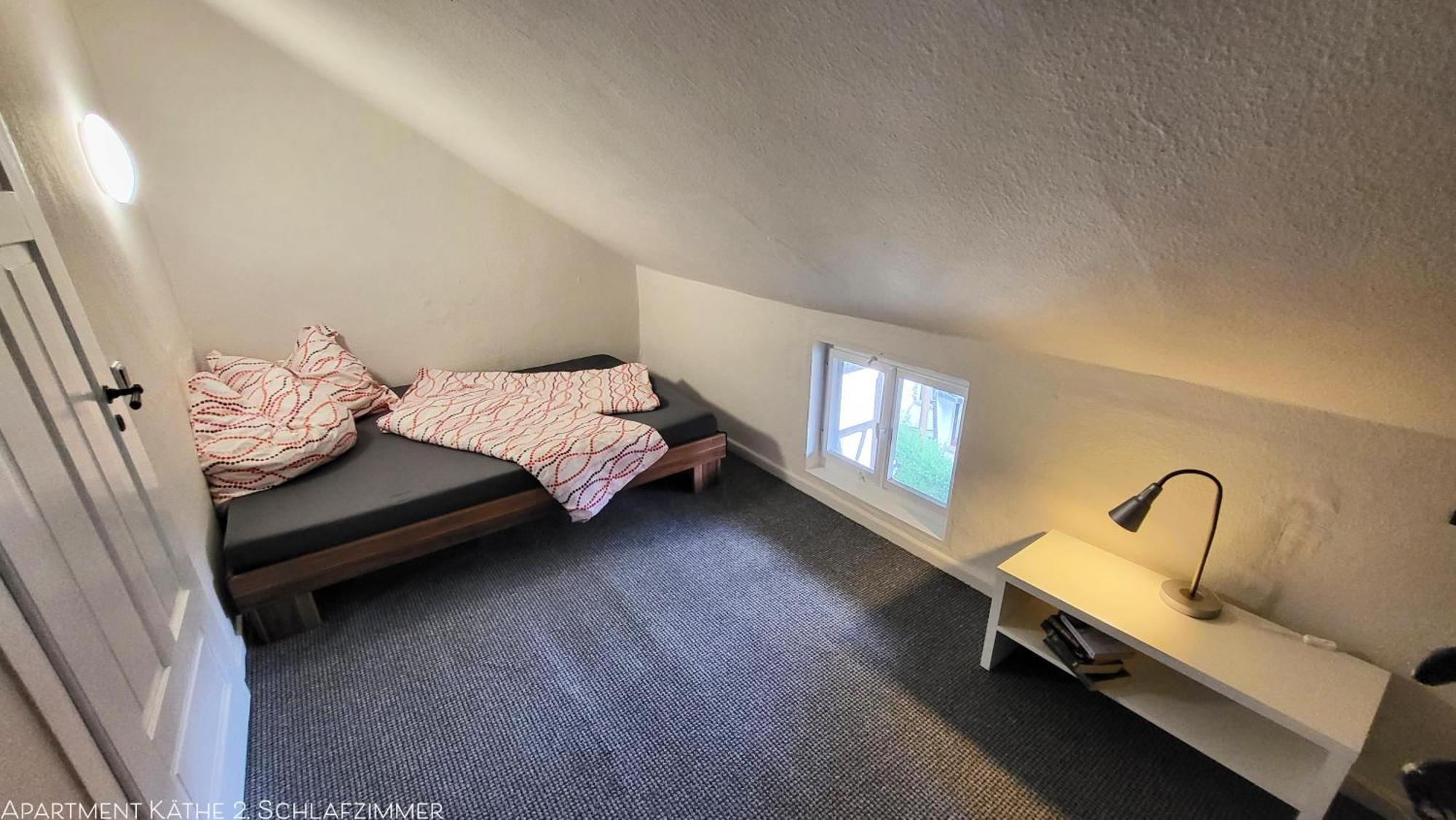 Apartments Am Saalebogen Mit Gartenterrasse, Grillkamin, Freie Parkplaetze 루돌슈타트 외부 사진