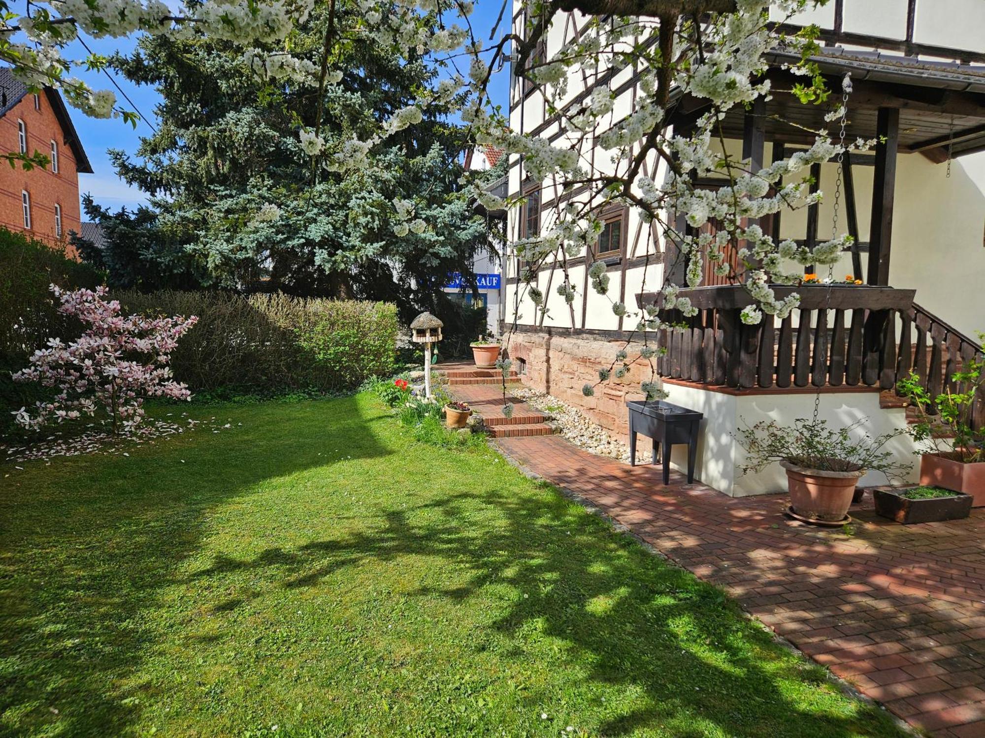 Apartments Am Saalebogen Mit Gartenterrasse, Grillkamin, Freie Parkplaetze 루돌슈타트 외부 사진